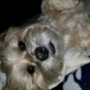 Meet your Posher, Maryann